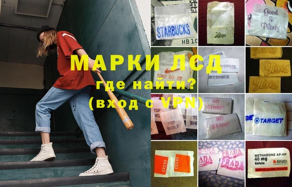 сатива Саяногорск