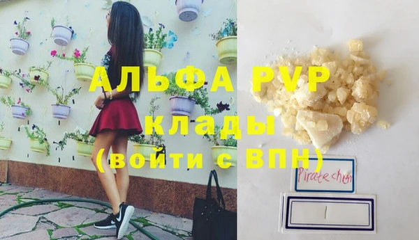 PSILOCYBIN Абаза
