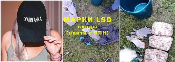 PSILOCYBIN Абаза