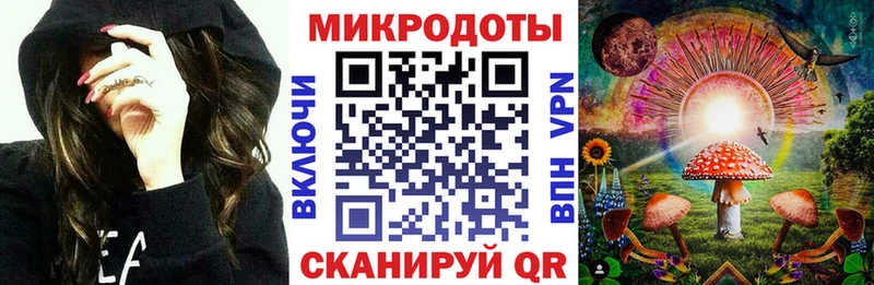 MEGA tor Галич Псилоцибиновые грибы GOLDEN TEACHER
